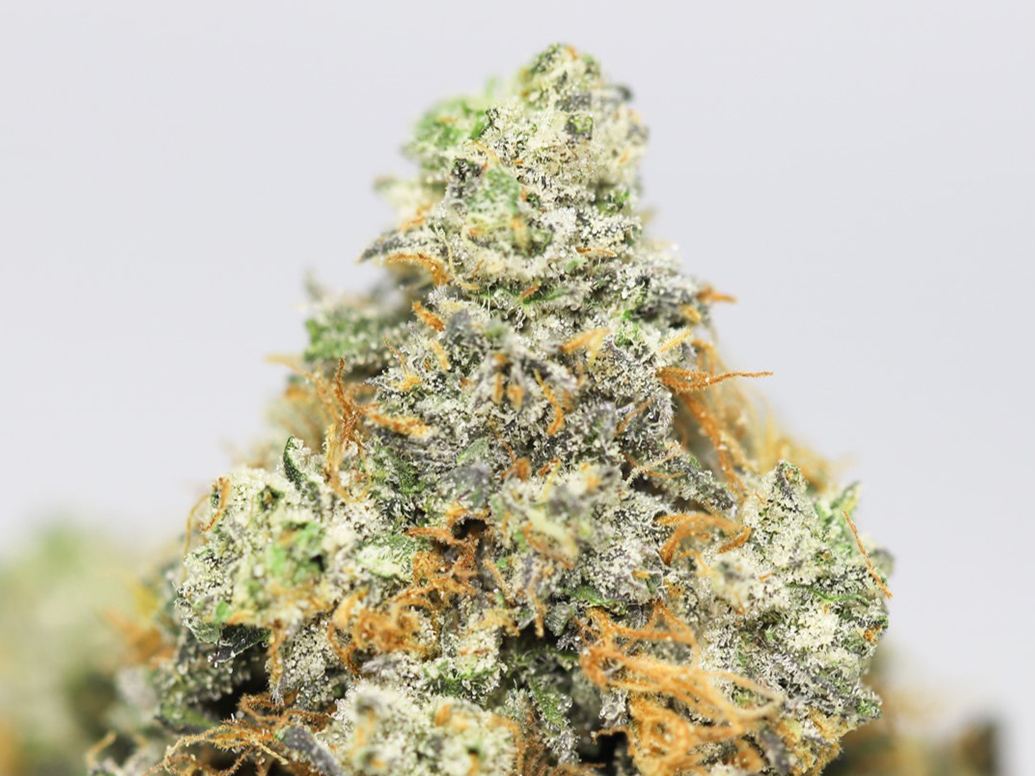 KRFT MRKT FIRST CLASS FUNK CLOSE UP.jpg KRFT MRKT FIRST CLASS FUNK CLOSE UP.jpg