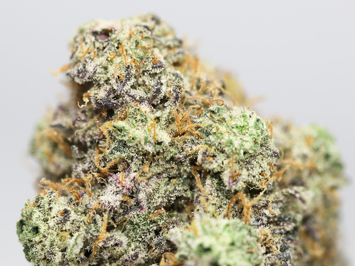 KRFT MRKT STARBURST OG CLOSE UP.jpg KRFT MRKT STARBURST OG CLOSE UP.jpg