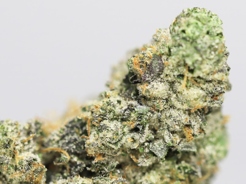 KRFT MRKT TRUTH CLOSE UP.jpg KRFT MRKT TRUTH CLOSE UP.jpg