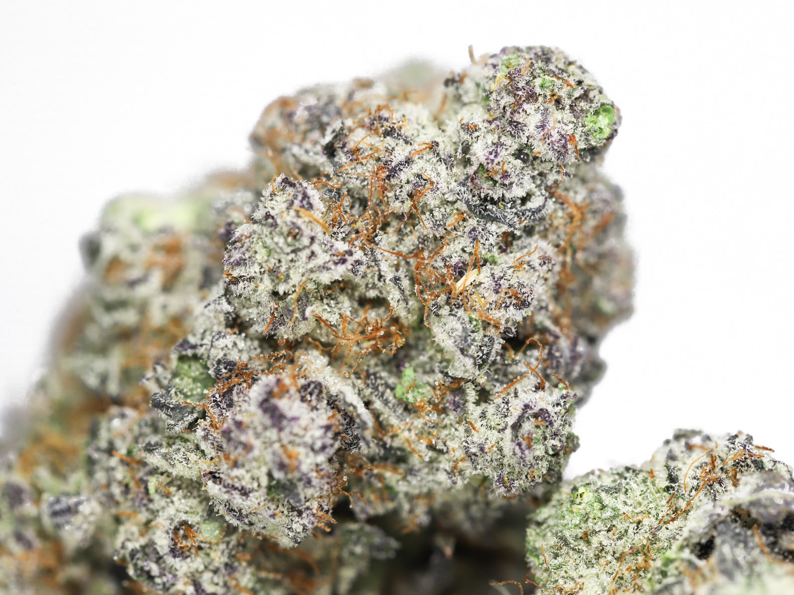 KRFT POLYNESIAN THIN MINTS CLOSEUP.jpg KRFT POLYNESIAN THIN MINTS CLOSEUP.jpg