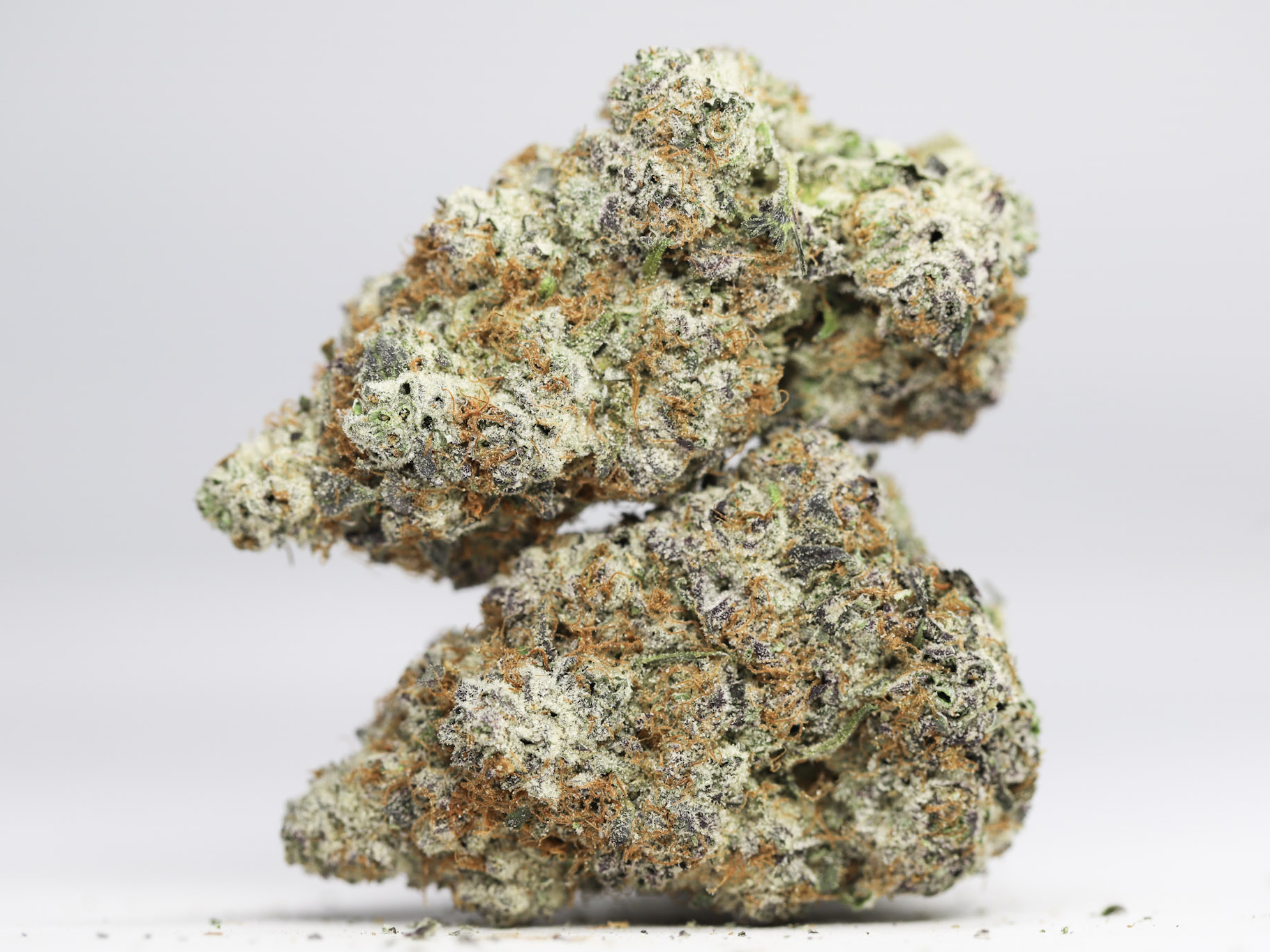 KRFT SNOOPS DREAM RESTOCK.jpg KRFT SNOOPS DREAM RESTOCK.jpg