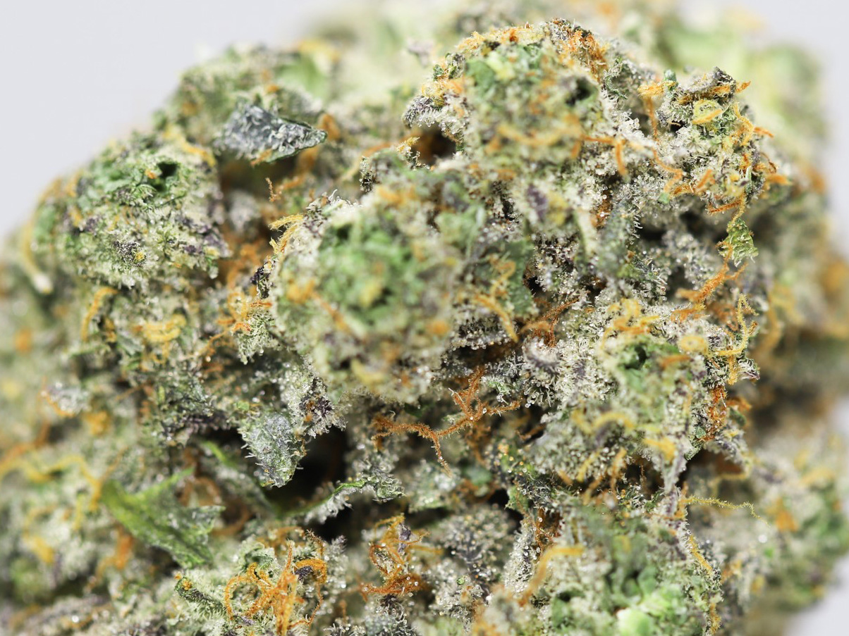 KRFT SOUR DIESEL X AGENT ORANGE CLOSE UP 1.jpg KRFT SOUR DIESEL X AGENT ORANGE CLOSE UP 1.jpg
