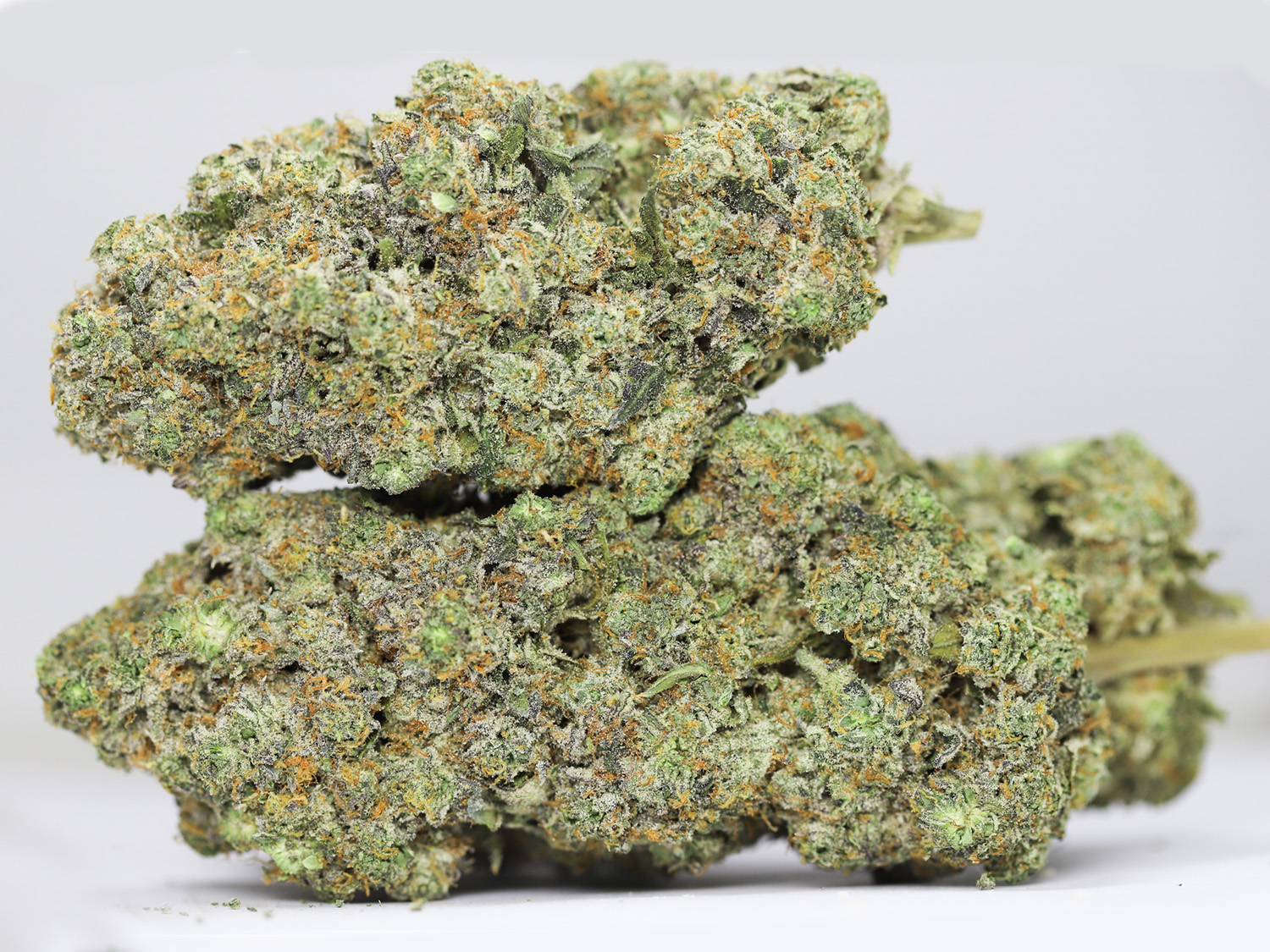 KRFT SOUR DIESEL X AGENT ORANGE RESTOCK 4.jpg KRFT SOUR DIESEL X AGENT ORANGE RESTOCK 4.jpg