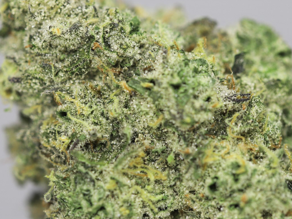 KRFT STRAWBERRY TREE CLOSE UP 1.jpg KRFT STRAWBERRY TREE CLOSE UP 1.jpg