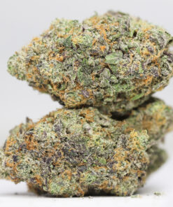 KRFT SUNSET MIMOSA RESTOCK.jpg
