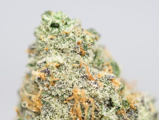 KRFT SUPER BLUE DREAM CLOSEUP.jpg KRFT SUPER BLUE DREAM CLOSEUP.jpg