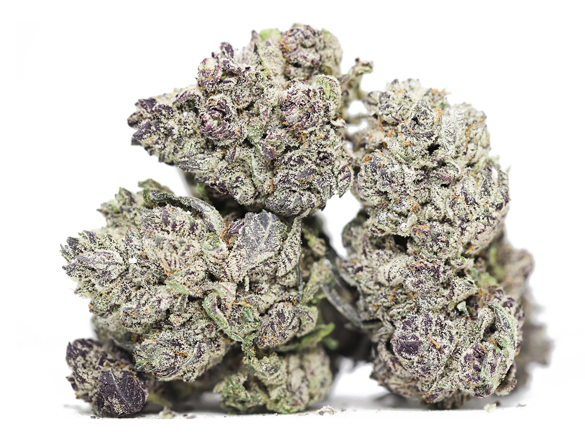 KRFT SWISS FRAGOLINA RESTOCK.jpg KRFT SWISS FRAGOLINA RESTOCK.jpg