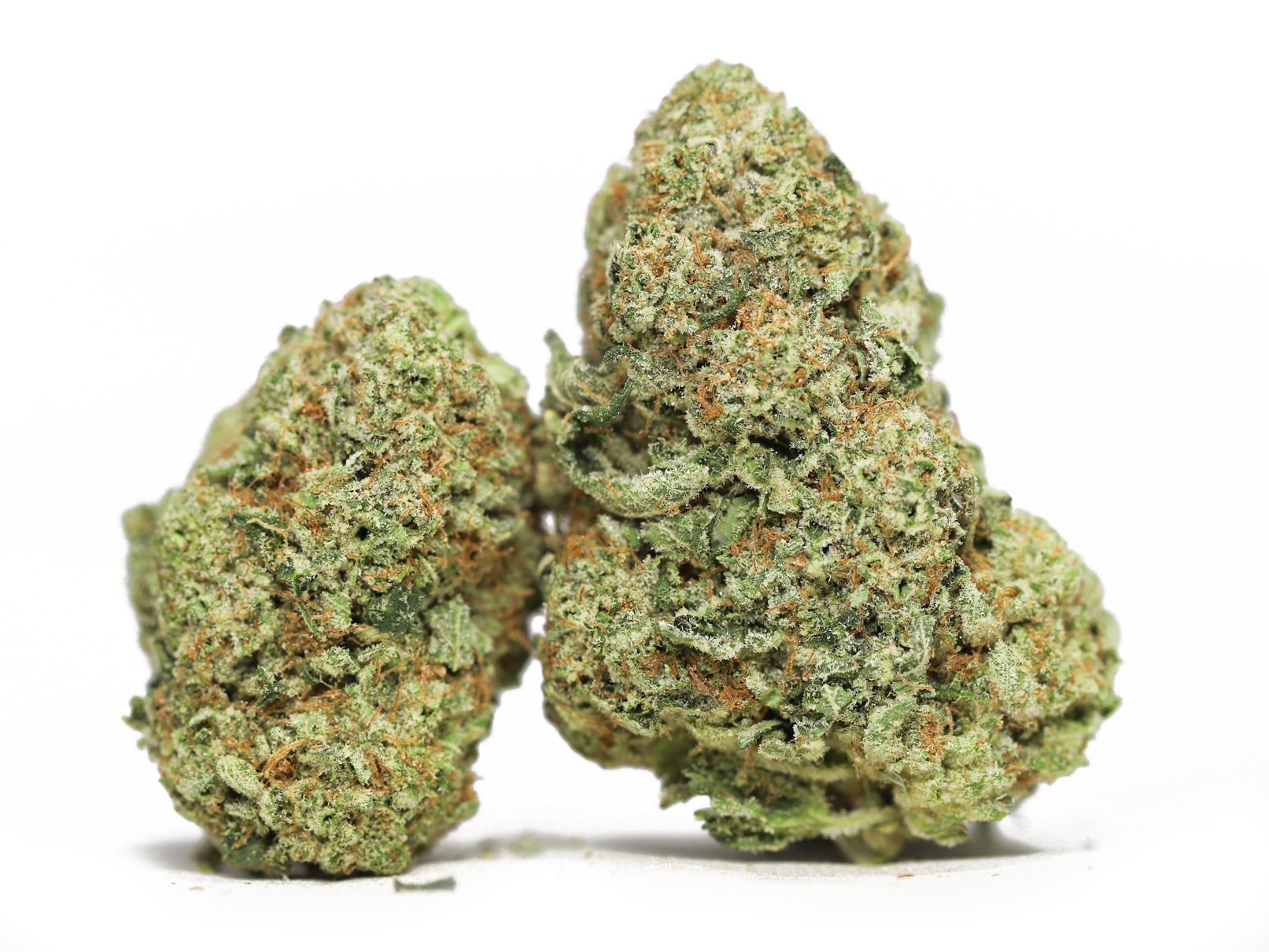 Kush Mints AA oz special 99.jpg Kush Mints AA oz special 99.jpg
