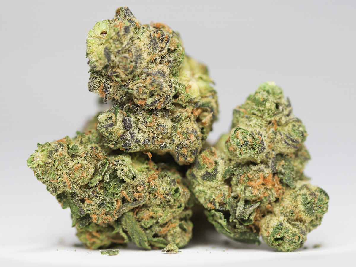 LAUGHING BUDDHA AA RESTOCK 3.jpg LAUGHING BUDDHA AA RESTOCK 3.jpg
