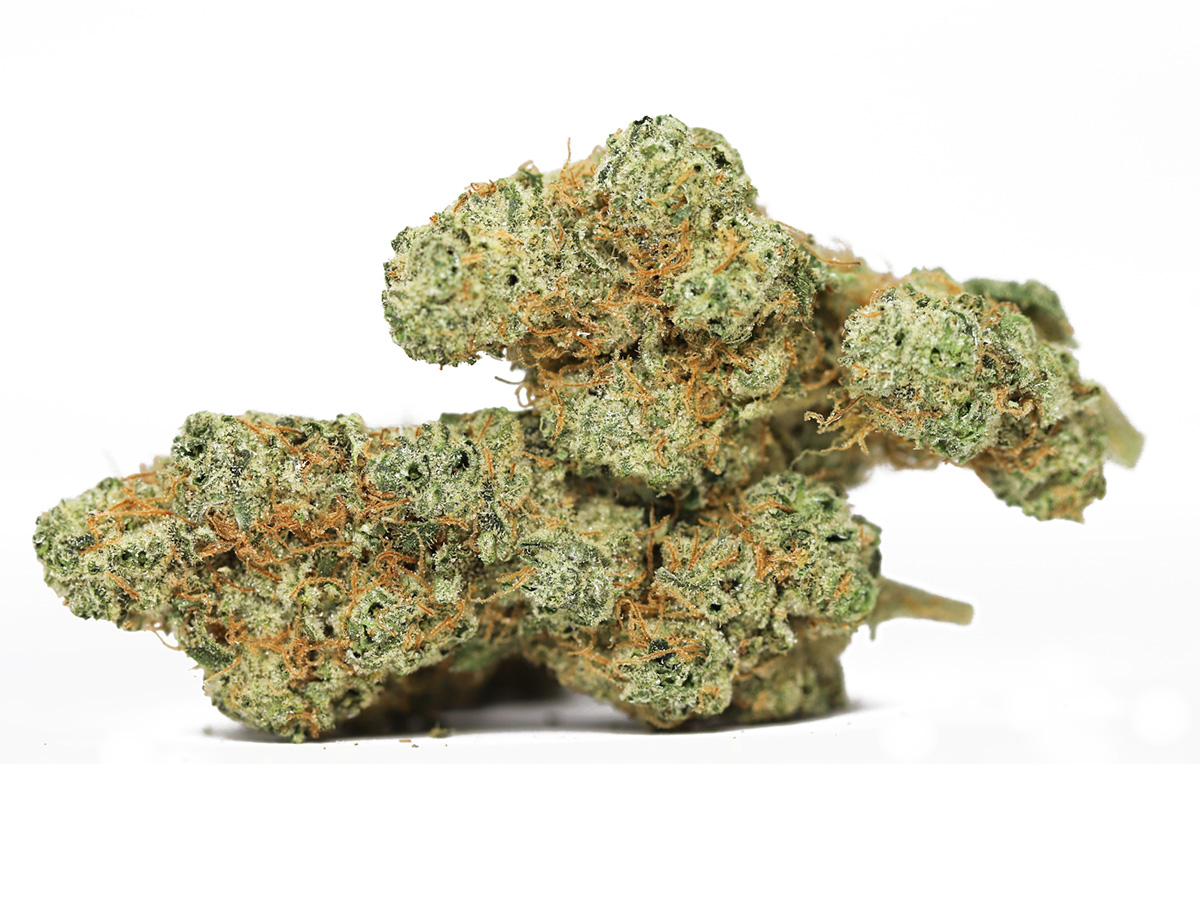 LEMON BURST AA RESTOCK.jpg LEMON BURST AA RESTOCK.jpg