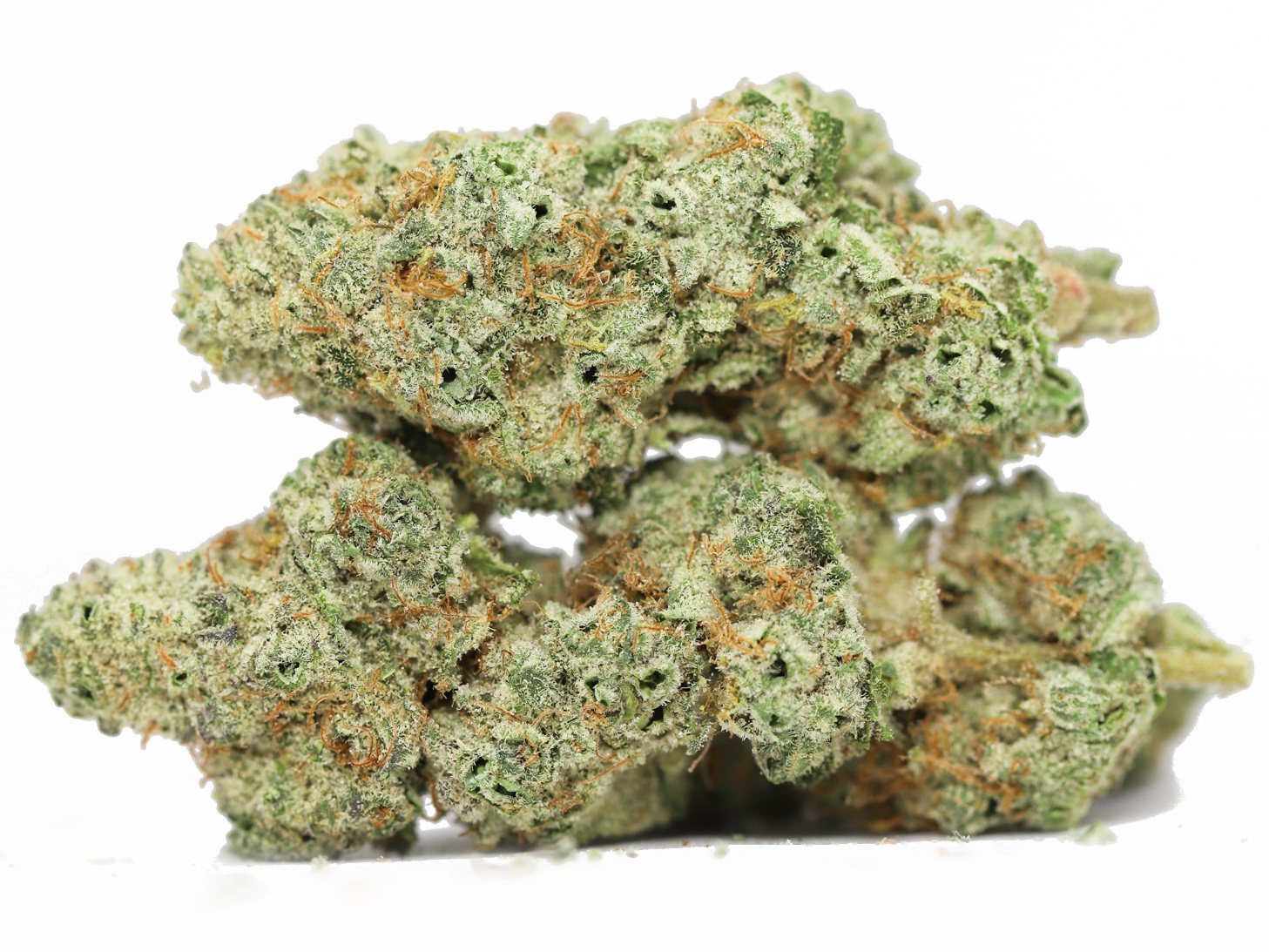 LEMONHEAD AAA RESTOCK.jpg LEMONHEAD AAA RESTOCK.jpg