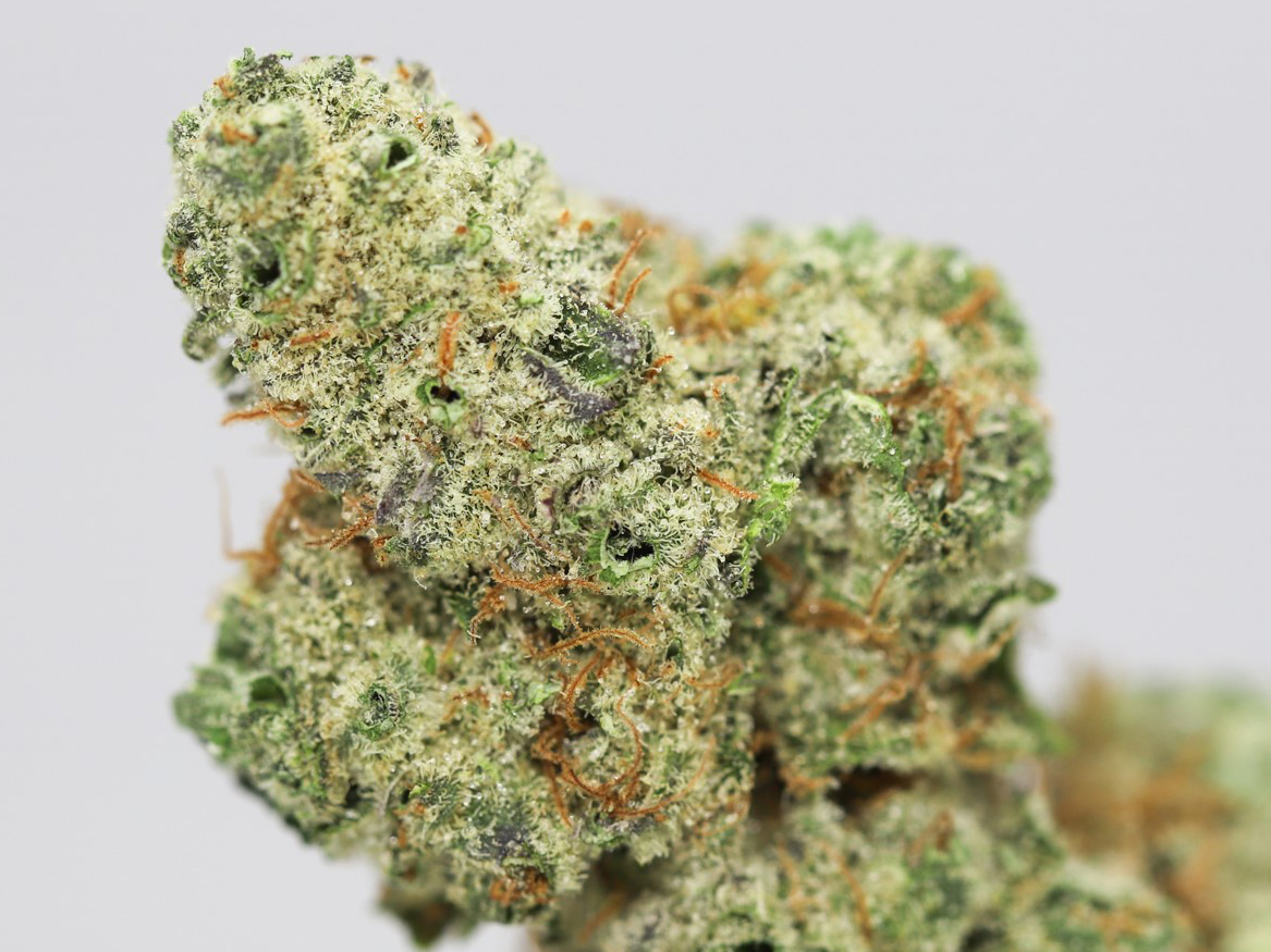 LEMONHEAD CLOSE UP.jpg LEMONHEAD CLOSE UP.jpg