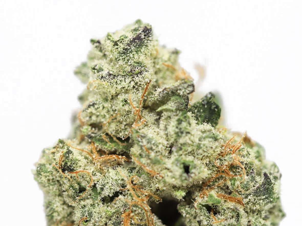 Lemon banana sherbet close up.jpg Lemon banana sherbet close up.jpg