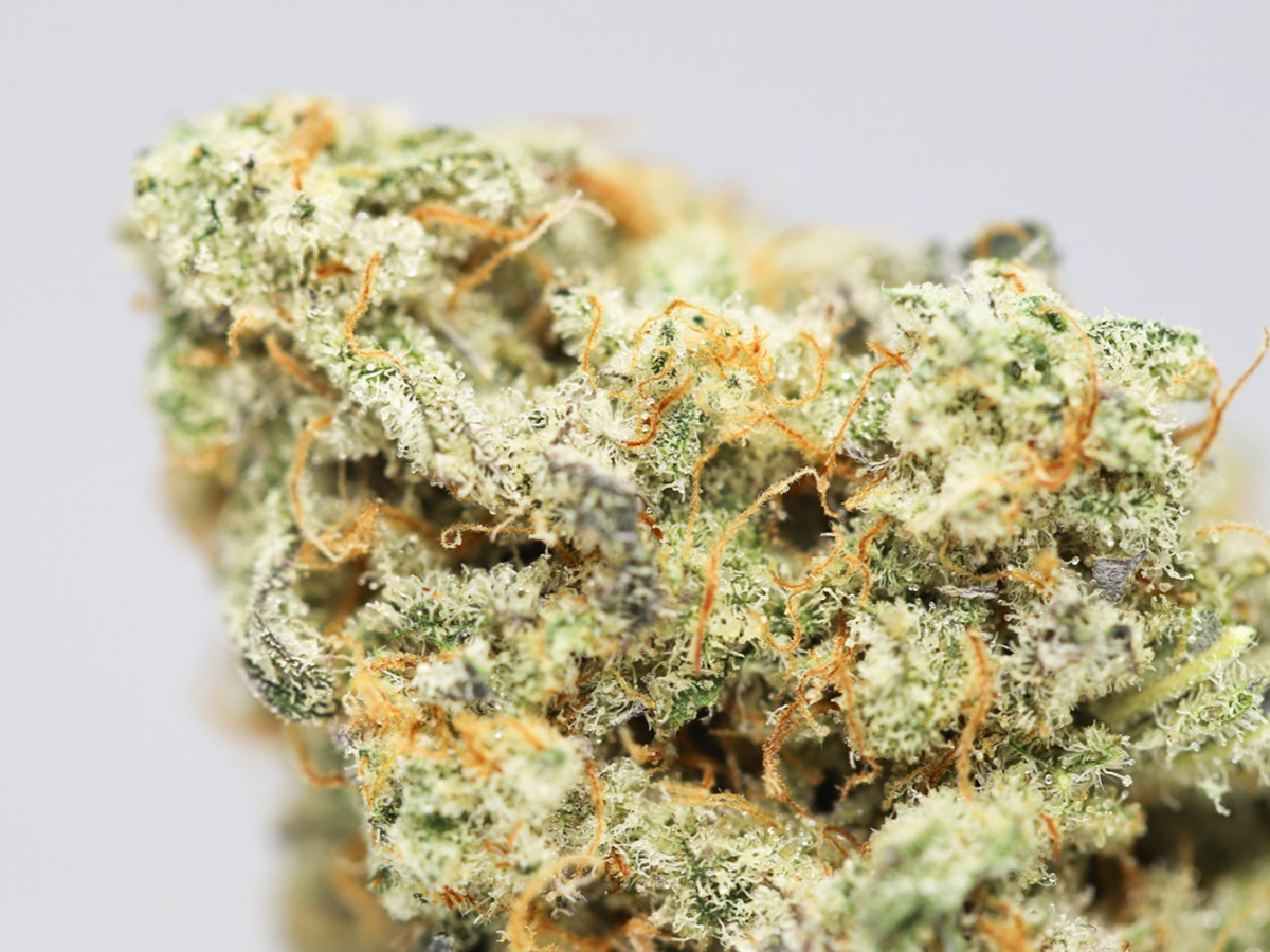 MAC 1 CLOSE UP 1.jpg MAC 1 CLOSE UP 1.jpg