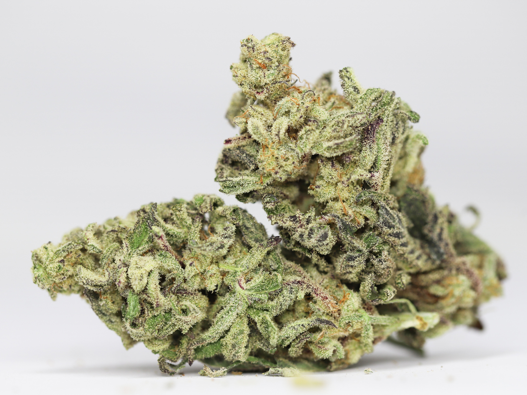 MANGO TAFFY AA RESTOCK 4.jpg MANGO TAFFY AA RESTOCK 4.jpg