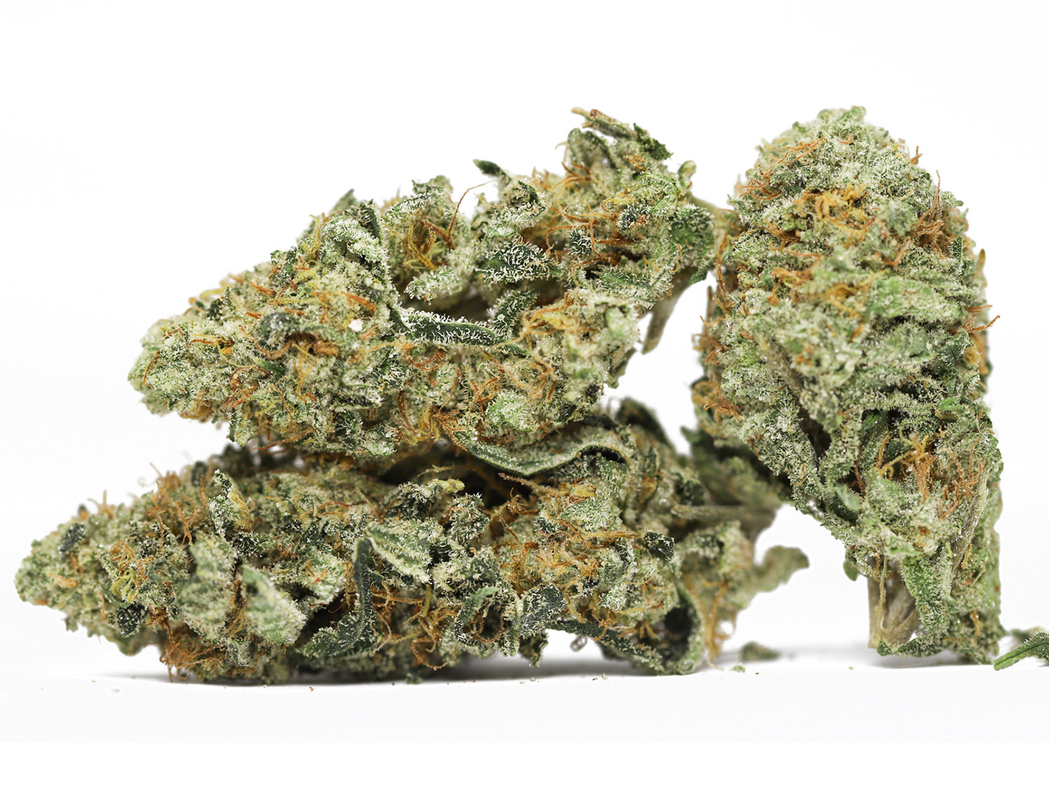MAUI MANGO AAA RESTOCK.jpg MAUI MANGO AAA RESTOCK.jpg