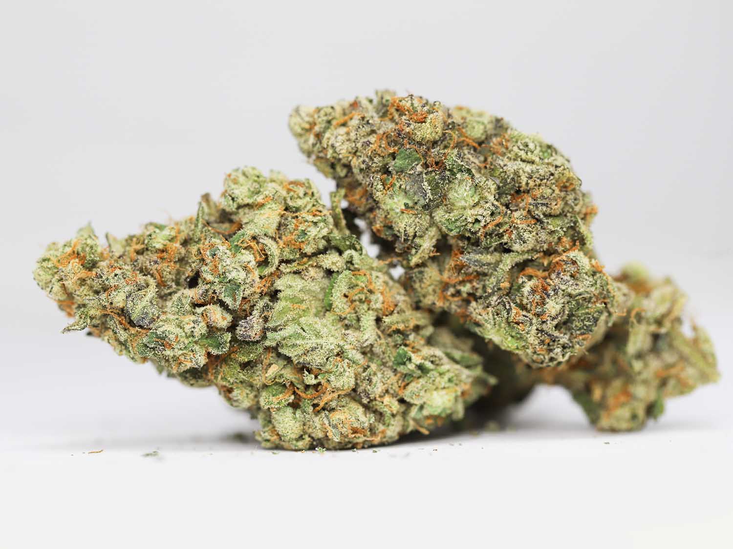 MAUI WOWIE AAA RESTOCK copy.jpg MAUI WOWIE AAA RESTOCK copy.jpg