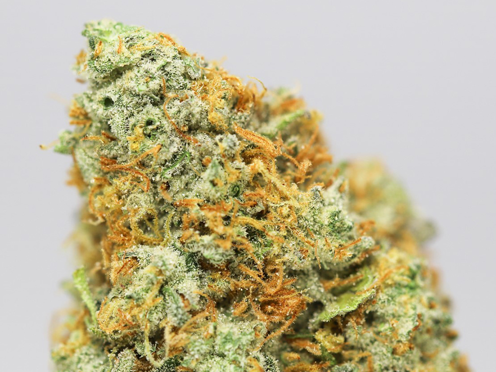 MIDDLEFORK X PINEAPPLE EXPRESS CLOSE UP.jpg MIDDLEFORK X PINEAPPLE EXPRESS CLOSE UP.jpg