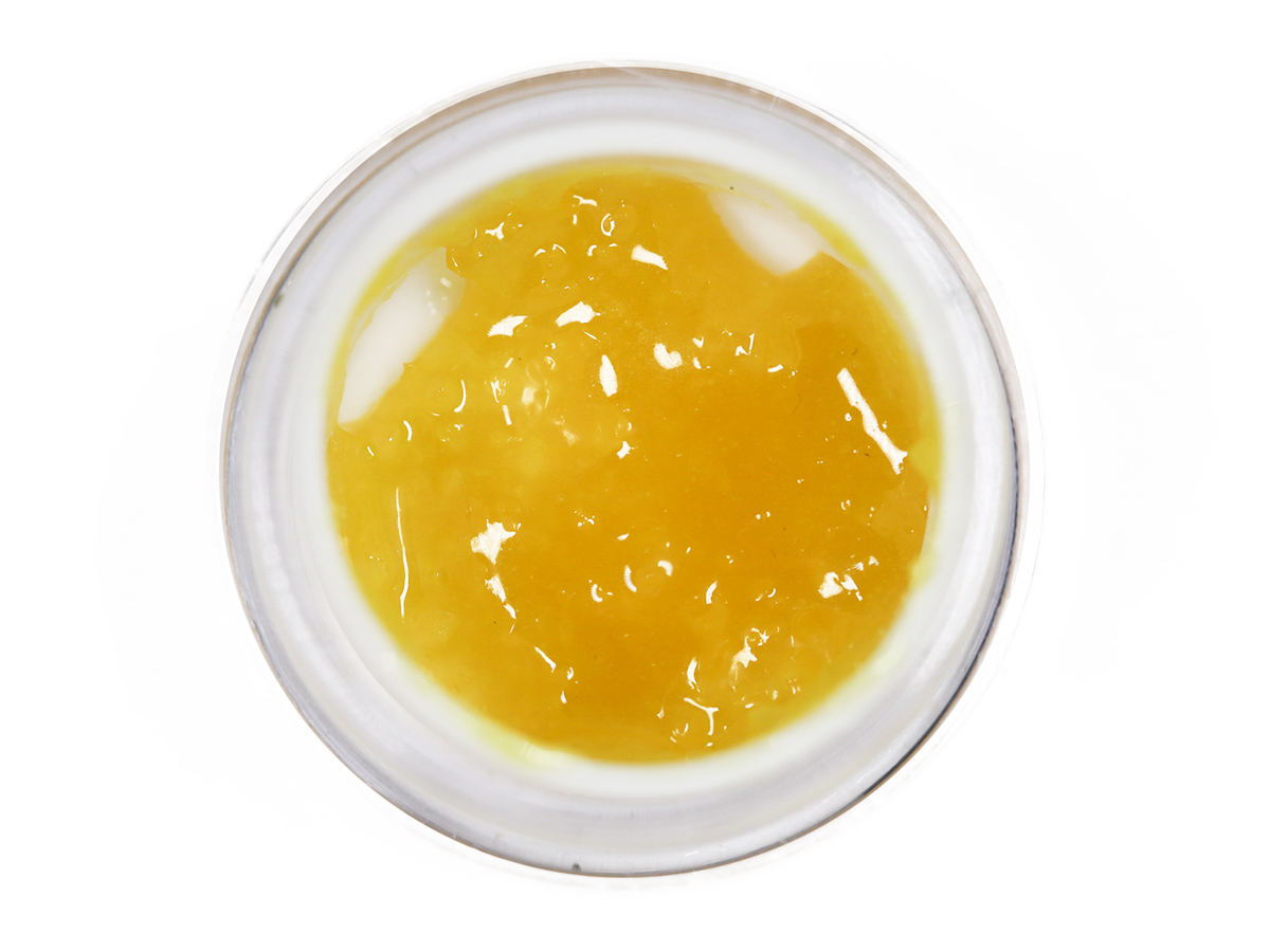 MVL Moby Dick Caviar.jpg MVL Moby Dick Caviar.jpg