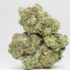 Northern Wreck AAA 2 NORTHERN WRECK AAA RESTOCK 4.jpg