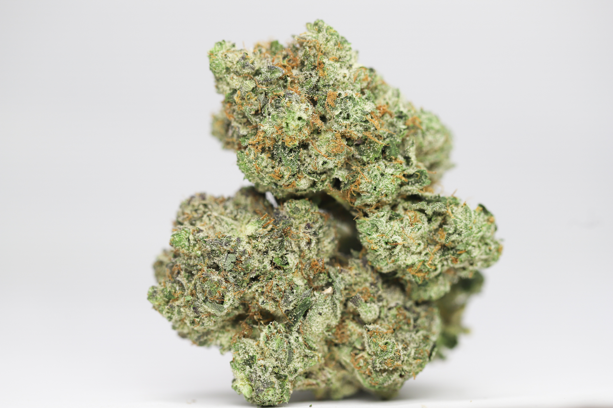 NORTHERN WRECK AAA RESTOCK 4.jpg NORTHERN WRECK AAA RESTOCK 4.jpg