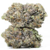 Northern Wreck AAAA 2 Northern Wreck AAAA restock.jpg