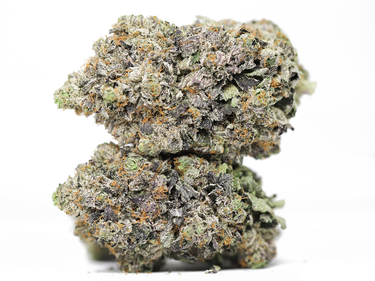 Northern Wreck AAAA restock.jpg Northern Wreck AAAA restock.jpg