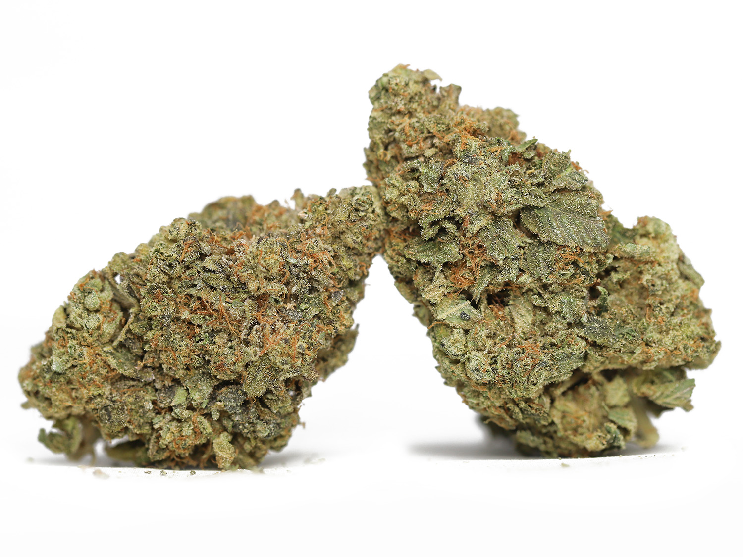 OG Kush AA 69 oz.jpg OG Kush AA 69 oz.jpg
