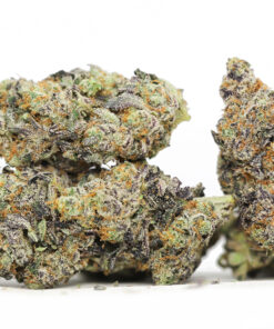 OG Medhead AAAA.jpg