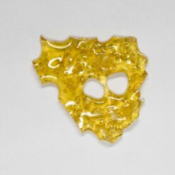 OG SHARK rotated 1.jpg