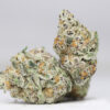 ORANGE CRUSH AAA RESTOCK.jpg