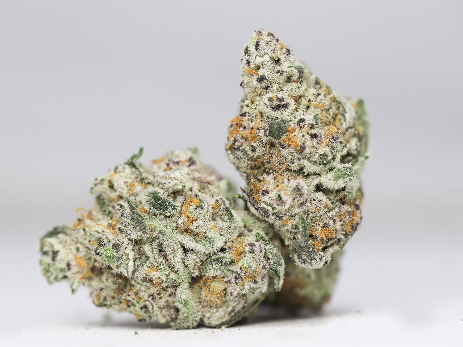 ORANGE CRUSH AAA RESTOCK.jpg ORANGE CRUSH AAA RESTOCK.jpg