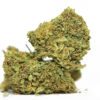 Orange Haze AA 1 ORANGE HAZE AA RESTOCK 1.jpg