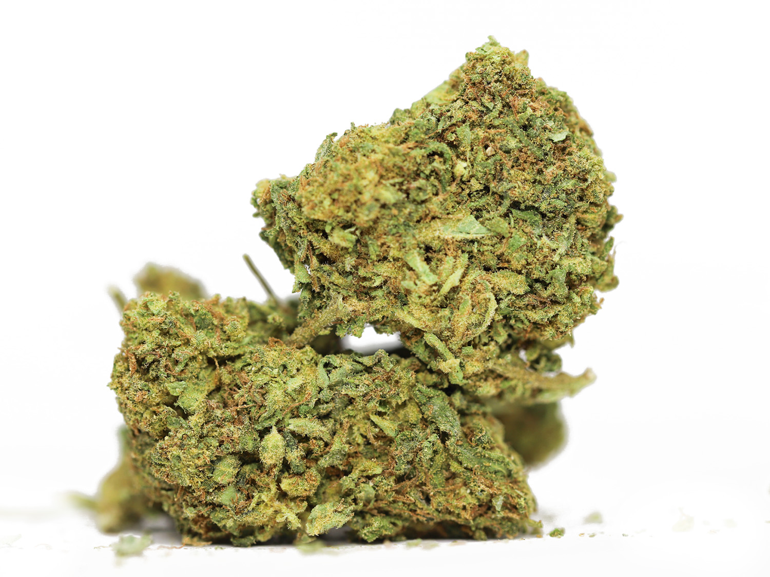 ORANGE HAZE AA RESTOCK 1.jpg ORANGE HAZE AA RESTOCK 1.jpg