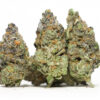 Orange Valley OG AA 1 Orange valley OG AA.jpg