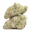 PAPAYA PUNCH AAAA RESTOCK 2.jpg