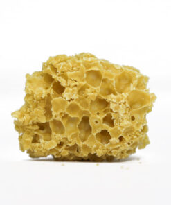PEANUT BUTTER MINTZ HONEY COMB.jpg