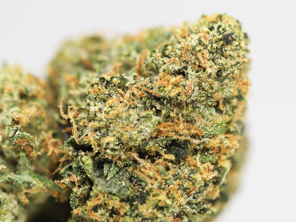 PINK CRACK CLOSE UP.jpg PINK CRACK CLOSE UP.jpg