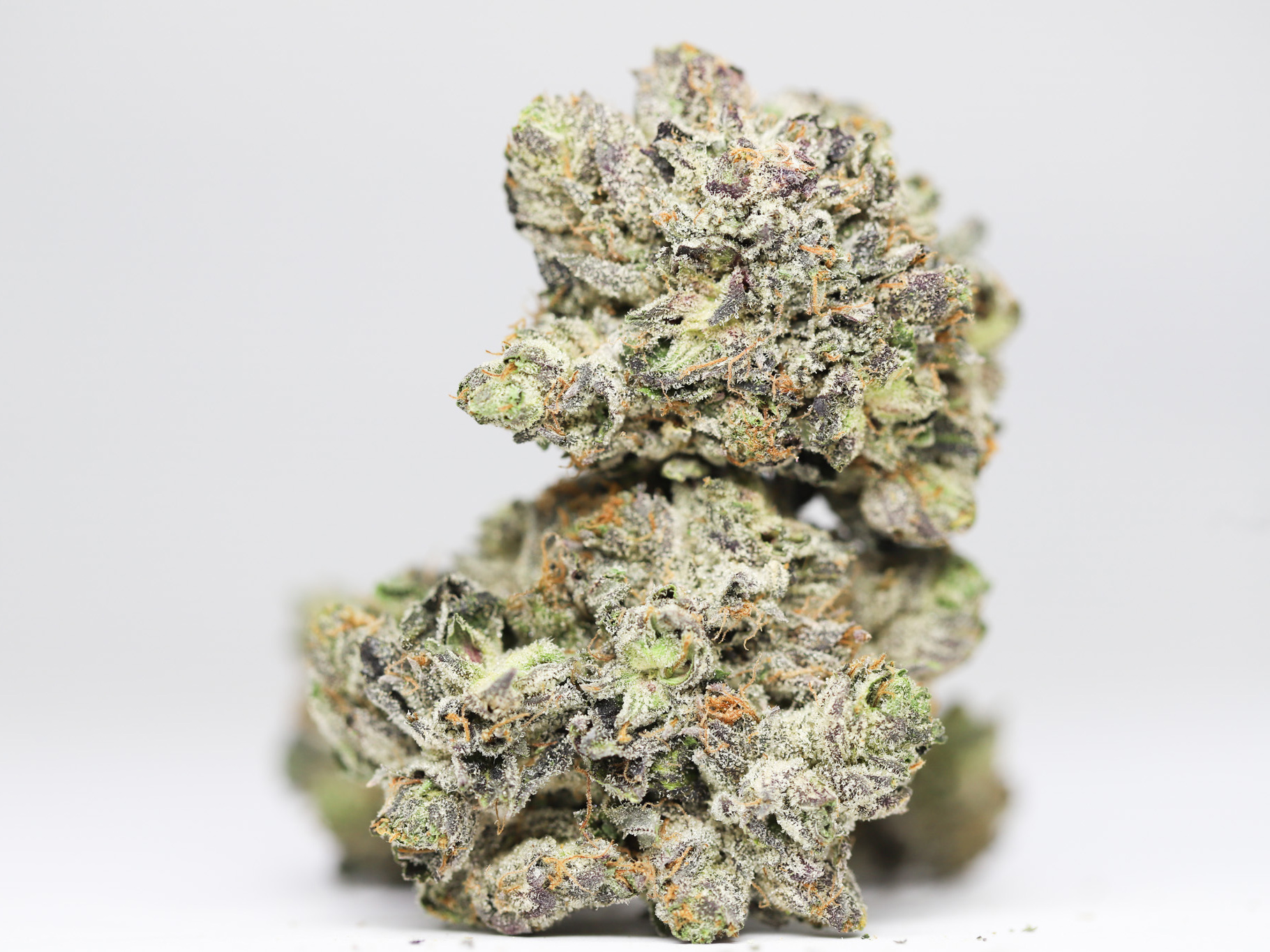 PURPLE CANDY AA RESTOCK 1.jpg PURPLE CANDY AA RESTOCK 1.jpg