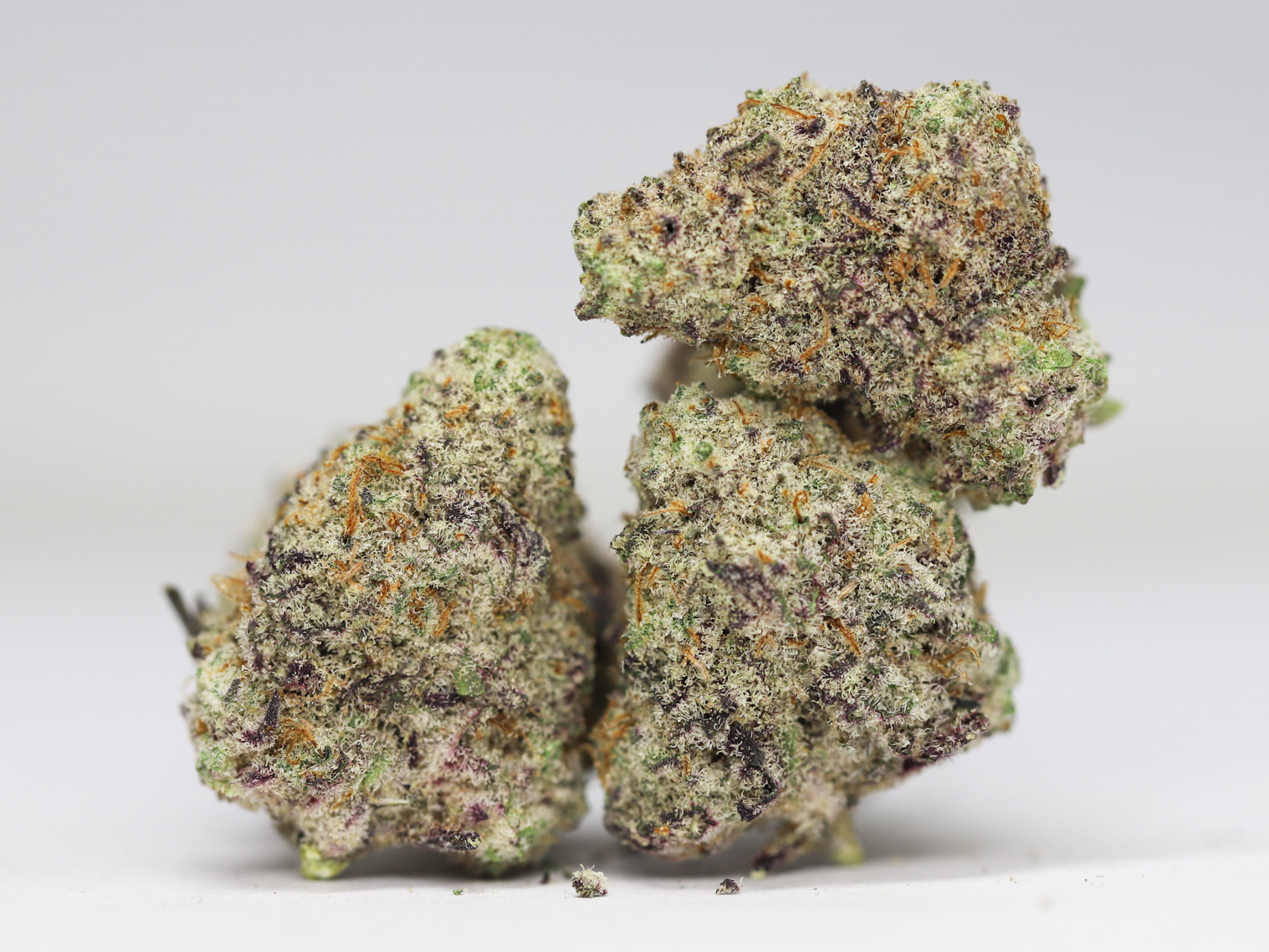 PURPLE CHAMPAGNE AAA RESTOCK 1.jpg PURPLE CHAMPAGNE AAA RESTOCK 1.jpg