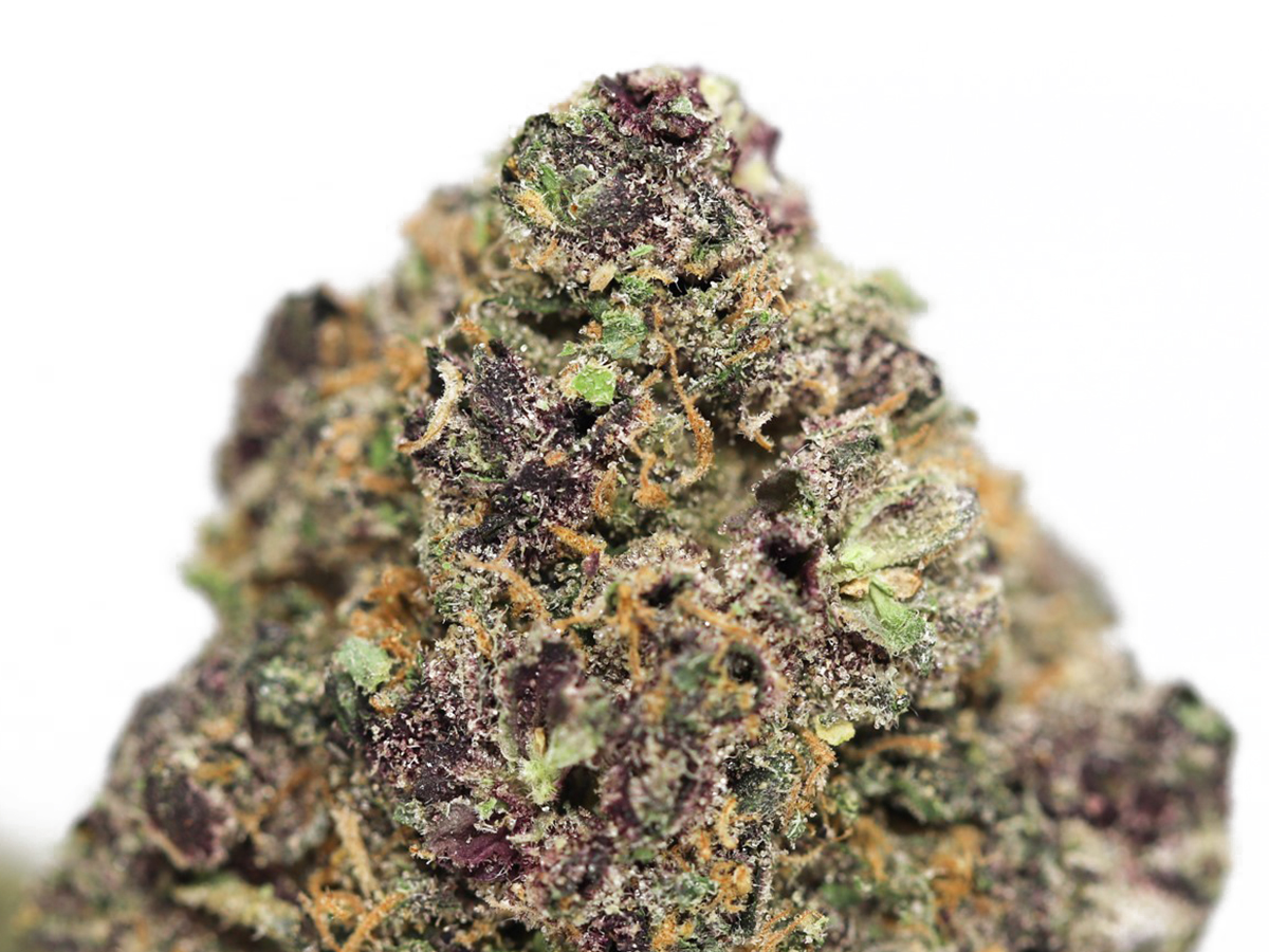 PURPLE ICE CLOSE UP 1.jpg PURPLE ICE CLOSE UP 1.jpg