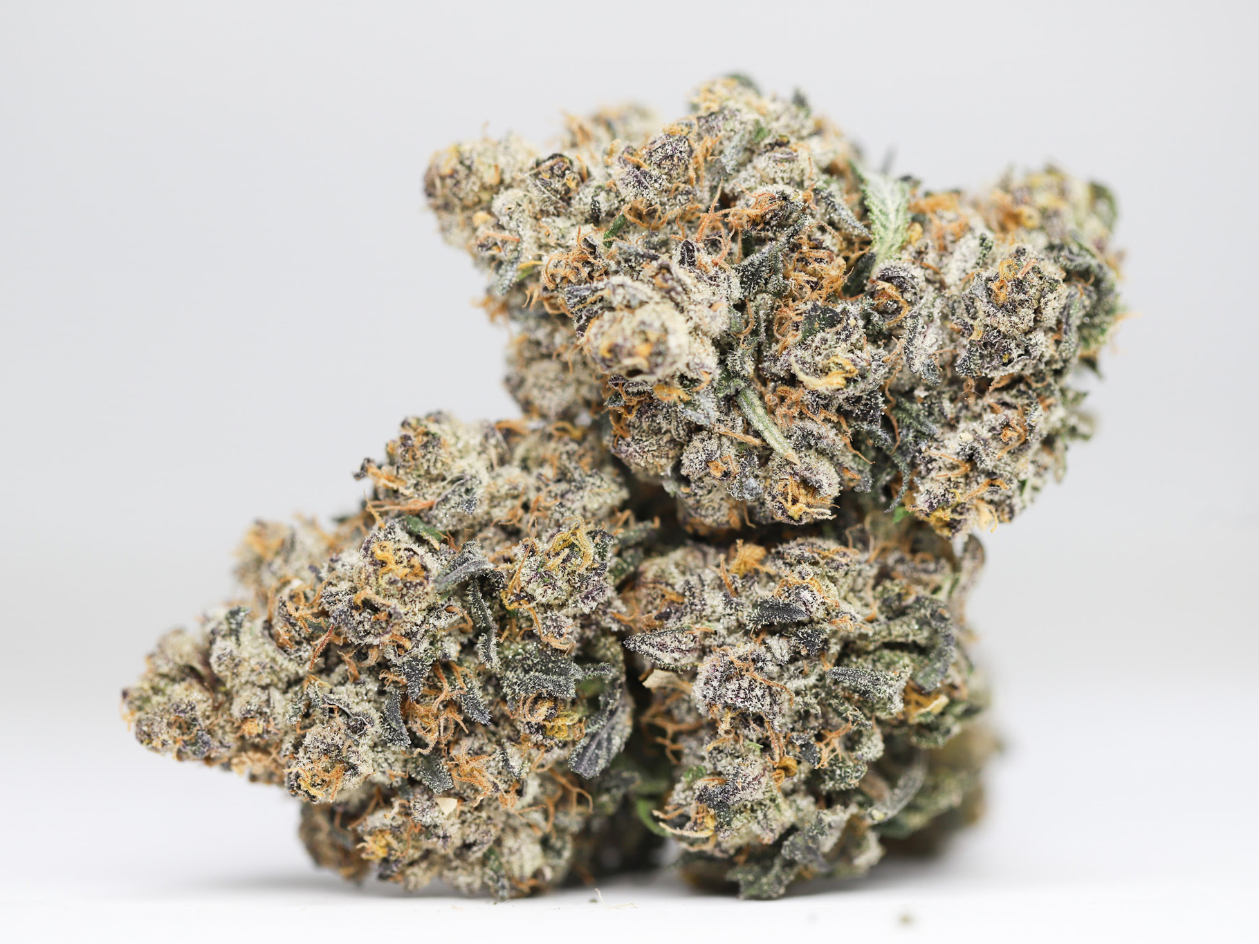 PURPLE LEMON HAZE AAA RESTOCK.jpg PURPLE LEMON HAZE AAA RESTOCK.jpg