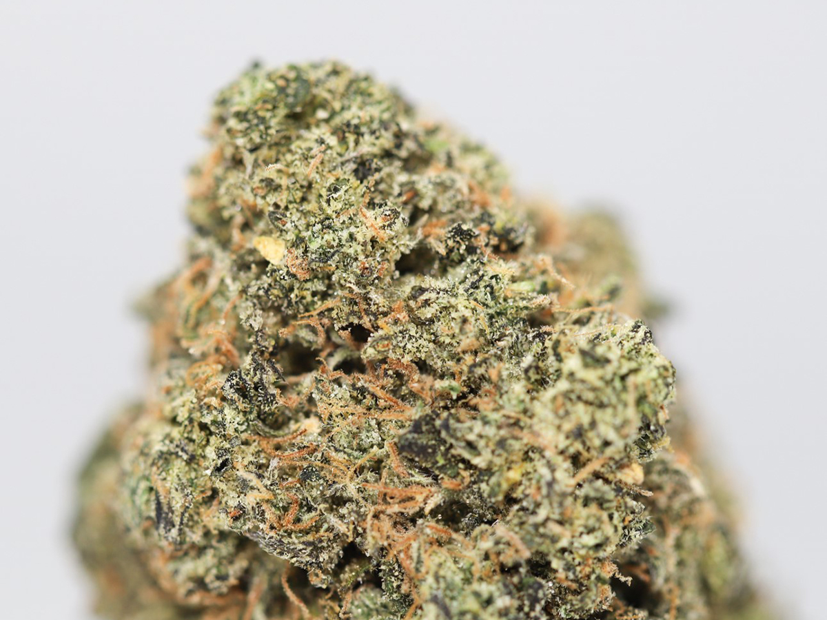 PURPLE NERDS AA CLOSE UP.jpg PURPLE NERDS AA CLOSE UP.jpg