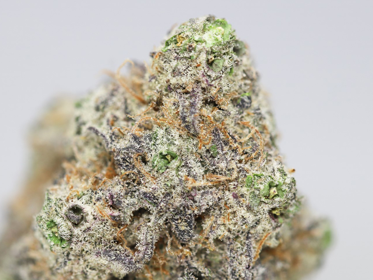 PURPLE TRAINWRECK AAA CLOSE UP.jpg PURPLE TRAINWRECK AAA CLOSE UP.jpg