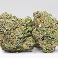 Peyote Cookies AA restock 1.jpg