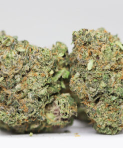 Peyote Cookies AA restock 1.jpg