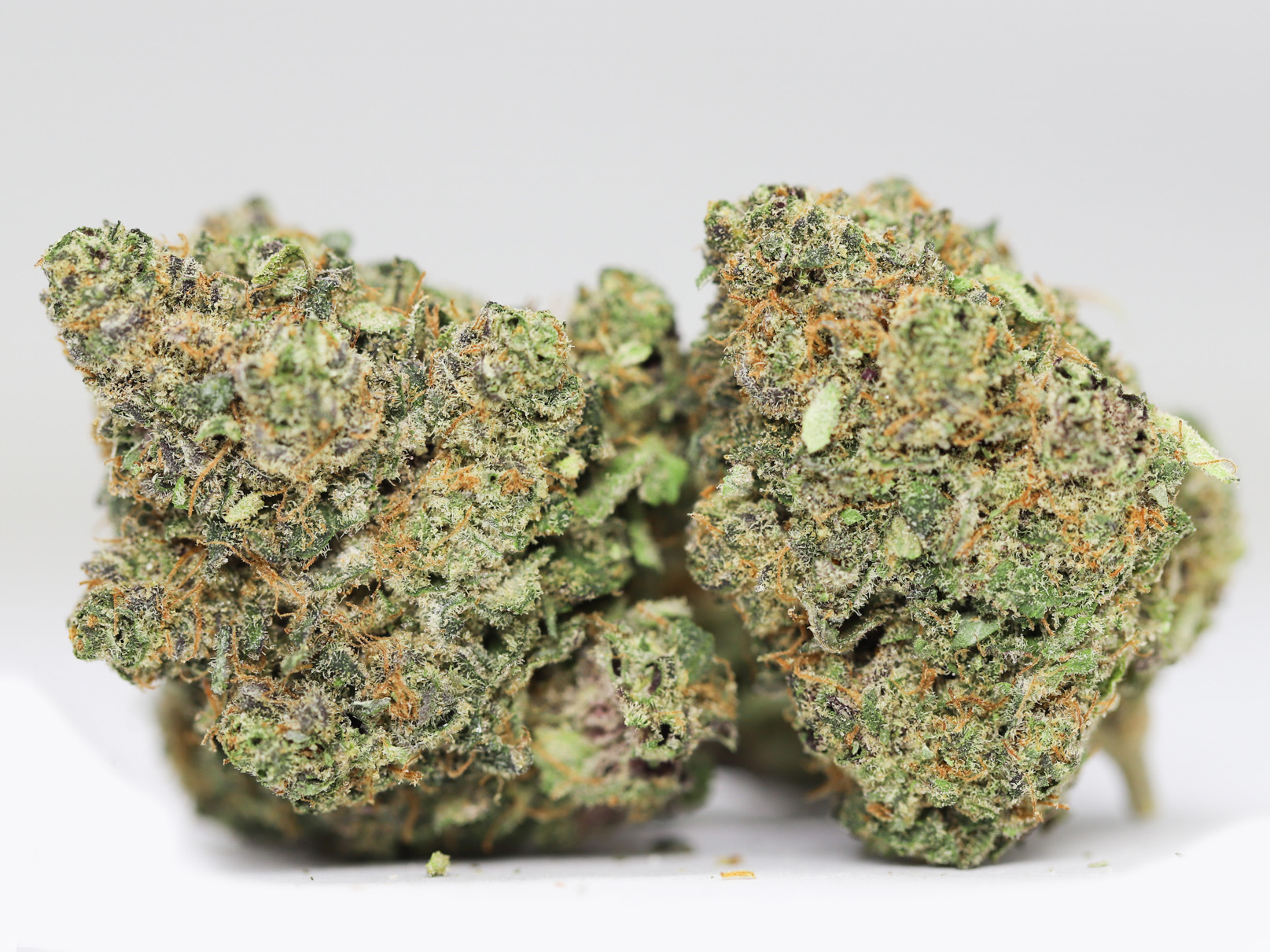 Peyote Cookies AA restock 1.jpg Peyote Cookies AA restock 1.jpg