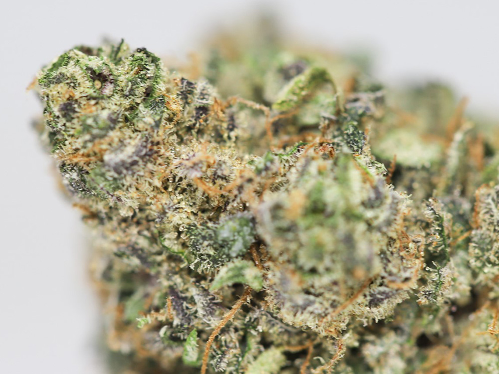 Peyote cookies aa close up.jpg Peyote cookies aa close up.jpg