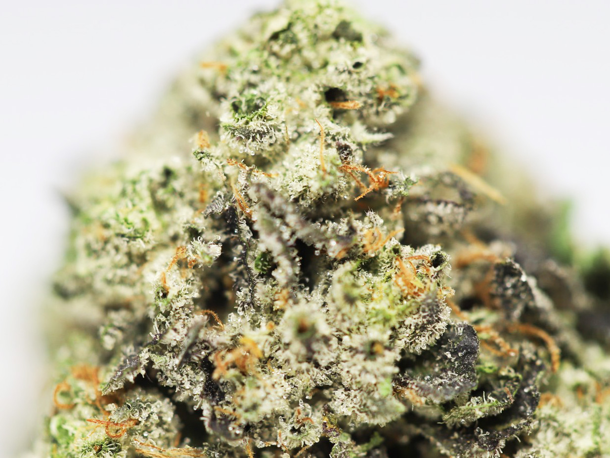 Pink Bubba AAA Close up 1.jpg Pink Bubba AAA Close up 1.jpg