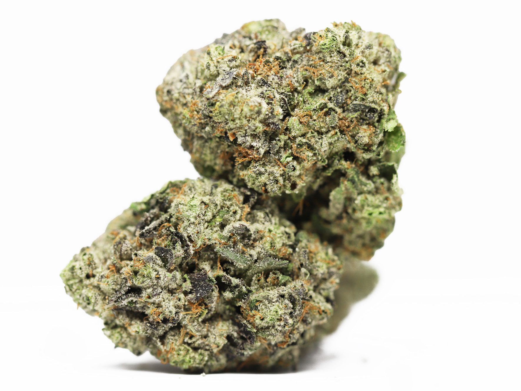 Pink Bubba AAA restock.jpg Pink Bubba AAA restock.jpg